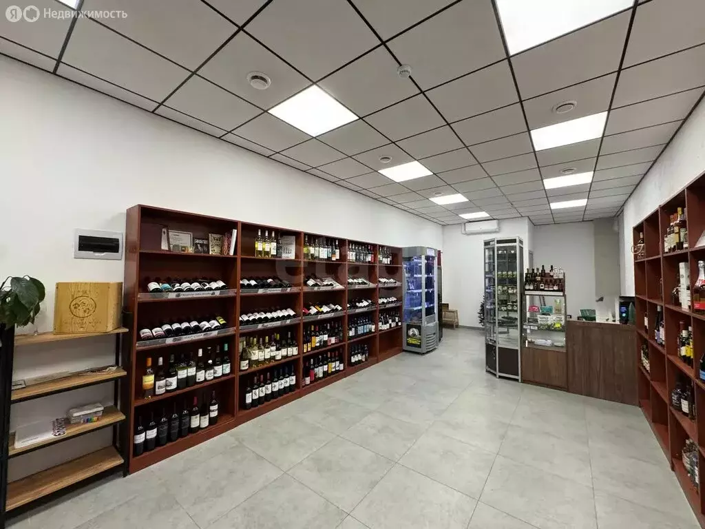 Торговая площадь (54.3 м) - Фото 2