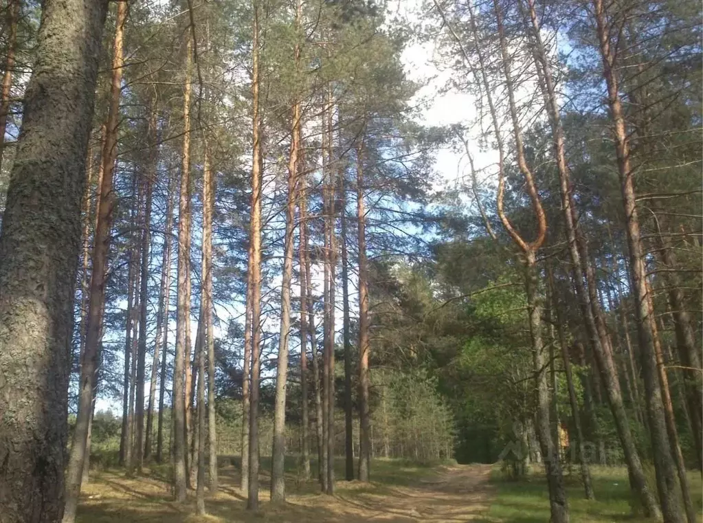 Участок в Московская область, Одинцовский городской округ, пос. ... - Фото 2