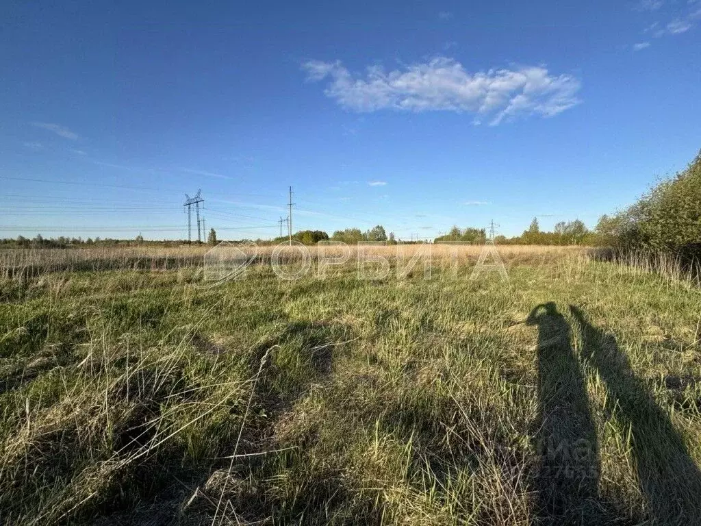 Участок в Тюменская область, Тюменский муниципальный округ, с. Борки  ... - Фото 2