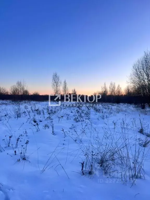 Участок в Костромская область, Нерехтский район, Пригородное с/пос, с. ... - Фото 1