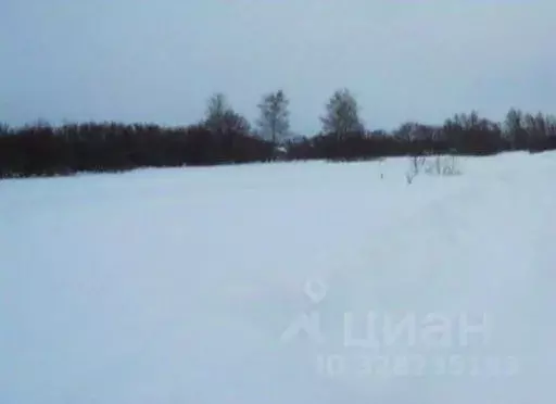 Участок в Московская область, Дмитровский муниципальный округ, с. ... - Фото 1