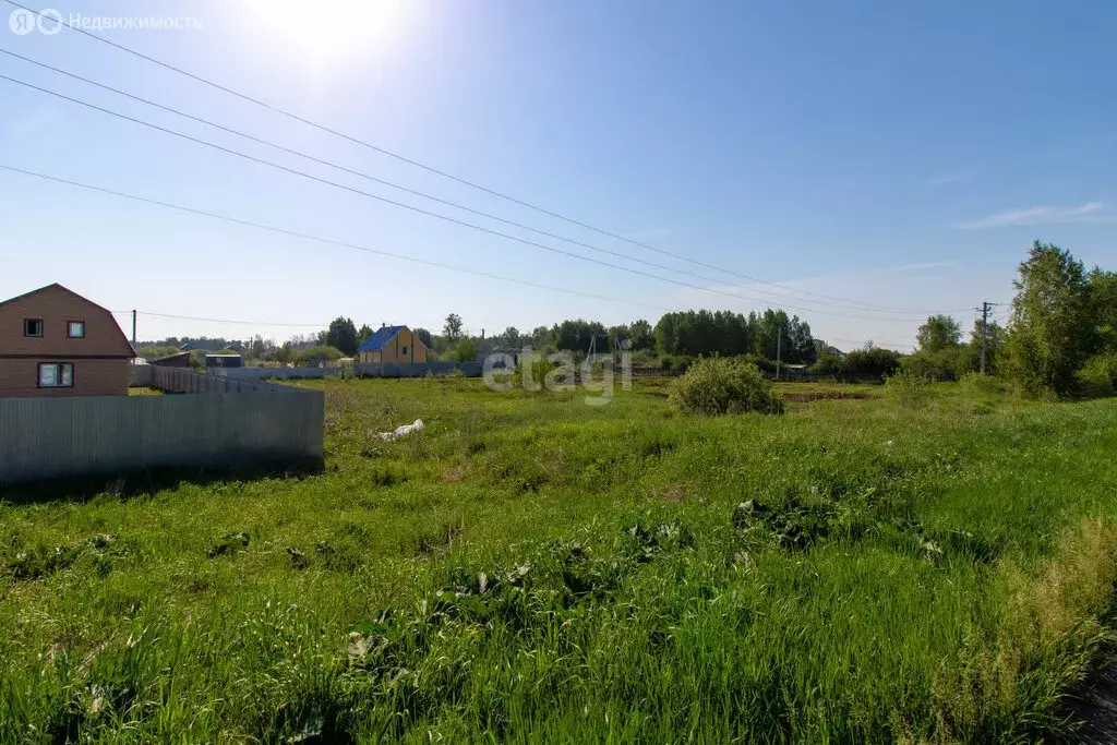 Участок в Нижнетавдинский район, садовое товарищество Душевное (11.7 ... - Фото 1