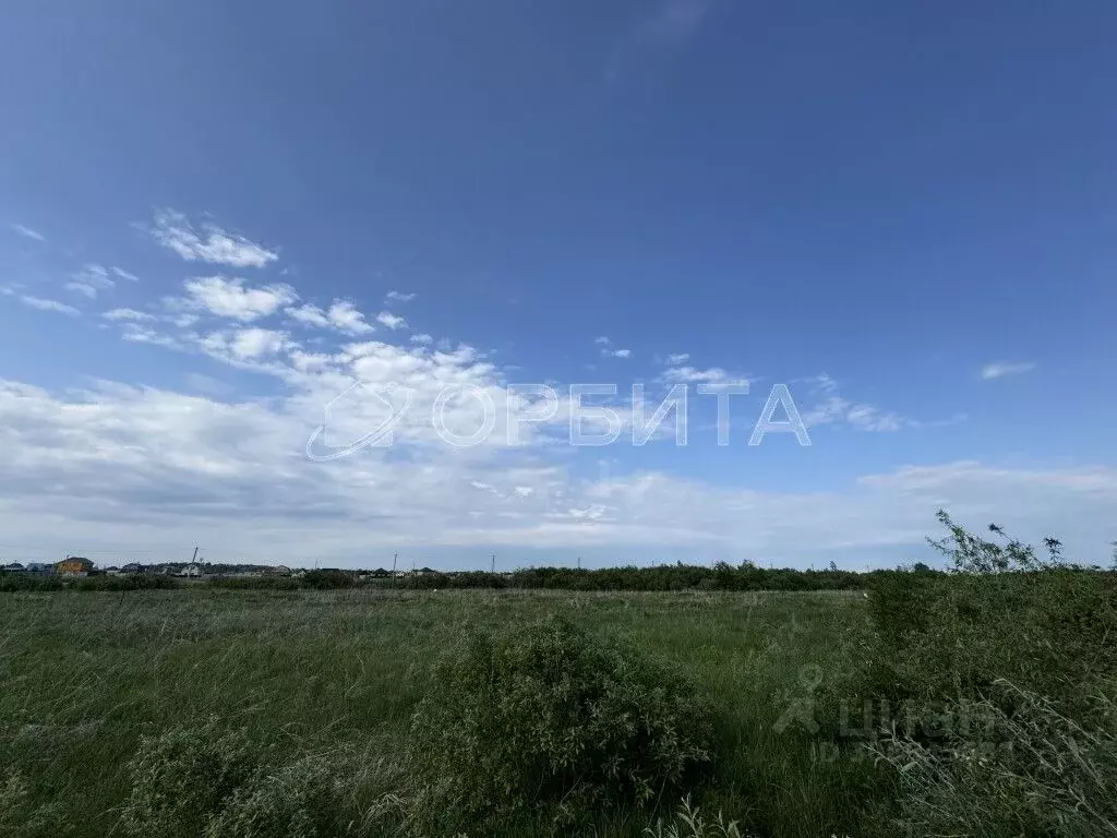 Участок в Тюменская область, Тюменский район, д. Есаулова  (12.0 сот.) - Фото 1