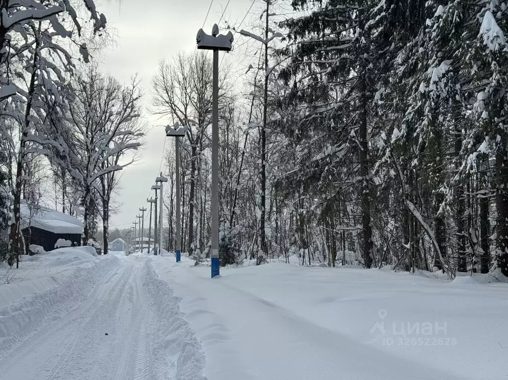 Участок в Московская область, Пушкинский городской округ, Росхмель СНТ ... - Фото 2