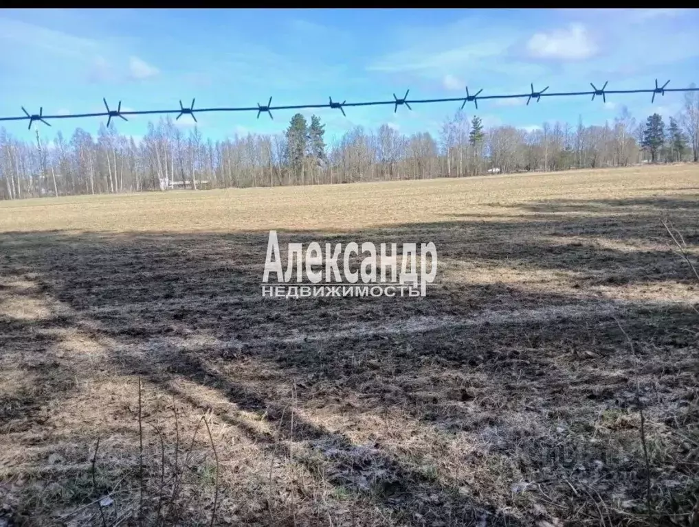 Участок в Ленинградская область, Всеволожский район, Бугровское ... - Фото 1