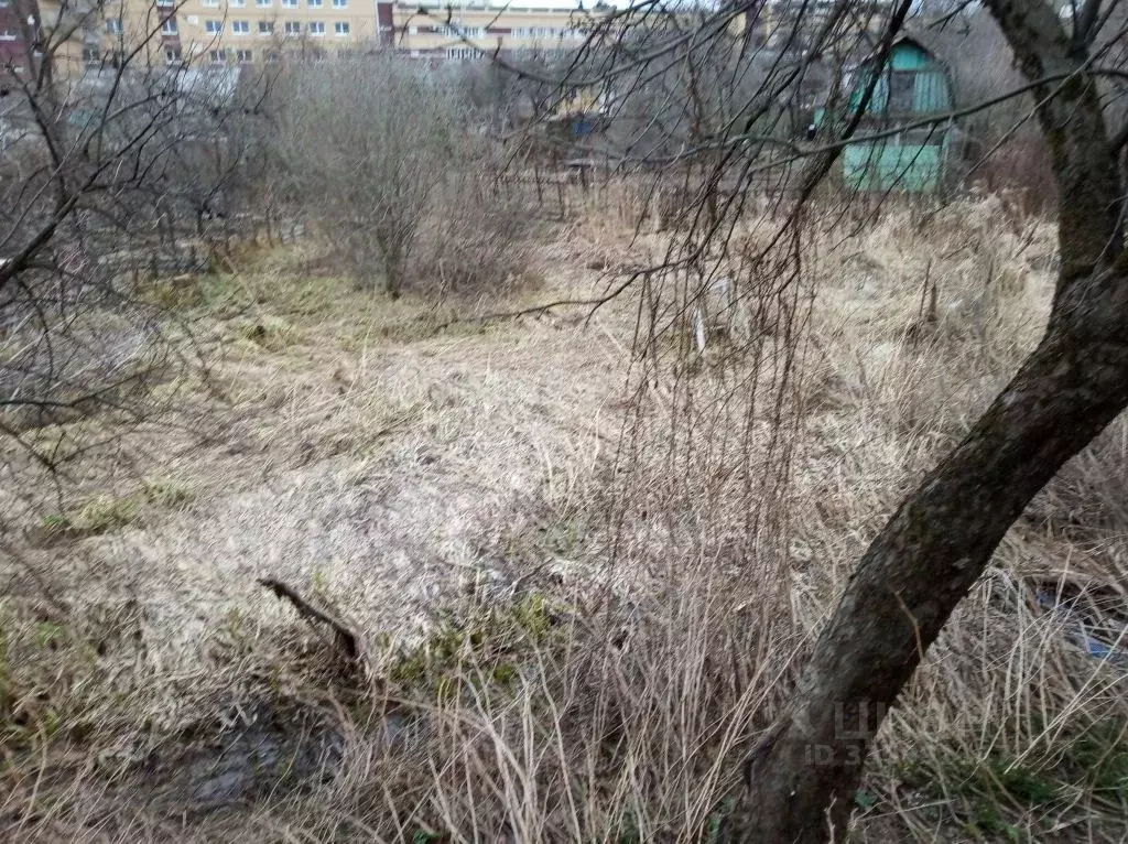 Участок в Нижегородская область, Нижний Новгород Родник СТ, 80 (6.0 ... - Фото 1