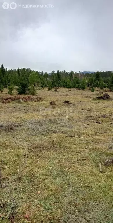 Участок в село Турочак, улица Соломаткиной (10.5 м) - Фото 0