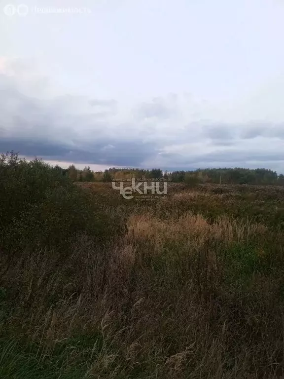 Участок в село Зиняки, Гаражная улица (441 м) - Фото 1
