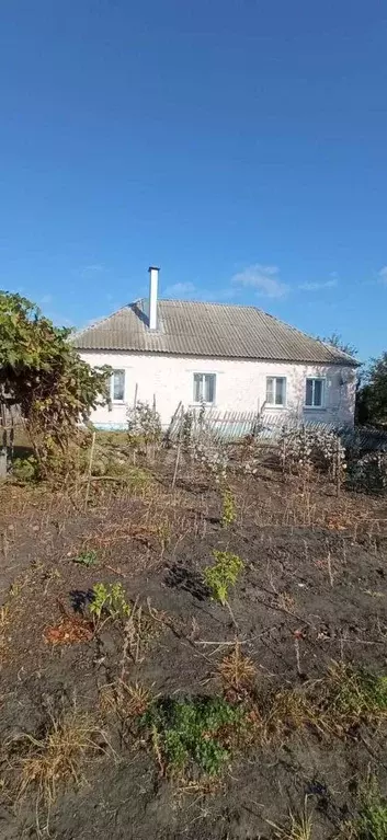 Дом в Липецкая область, Хлевенский муниципальный округ, с. Синдякино ... - Фото 1