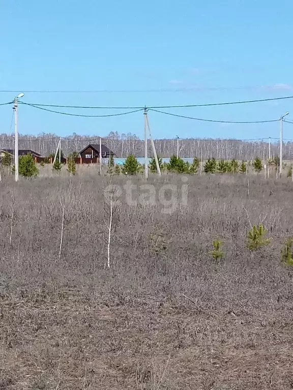 Участок в Курганская область, Кетовский муниципальный округ, д. Лукино ... - Фото 1