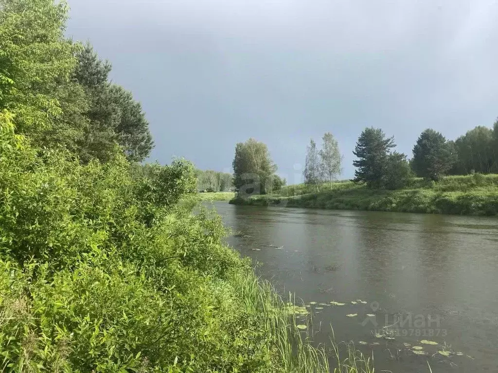 Участок в Ярославская область, Ярославский муниципальный округ, ... - Фото 1