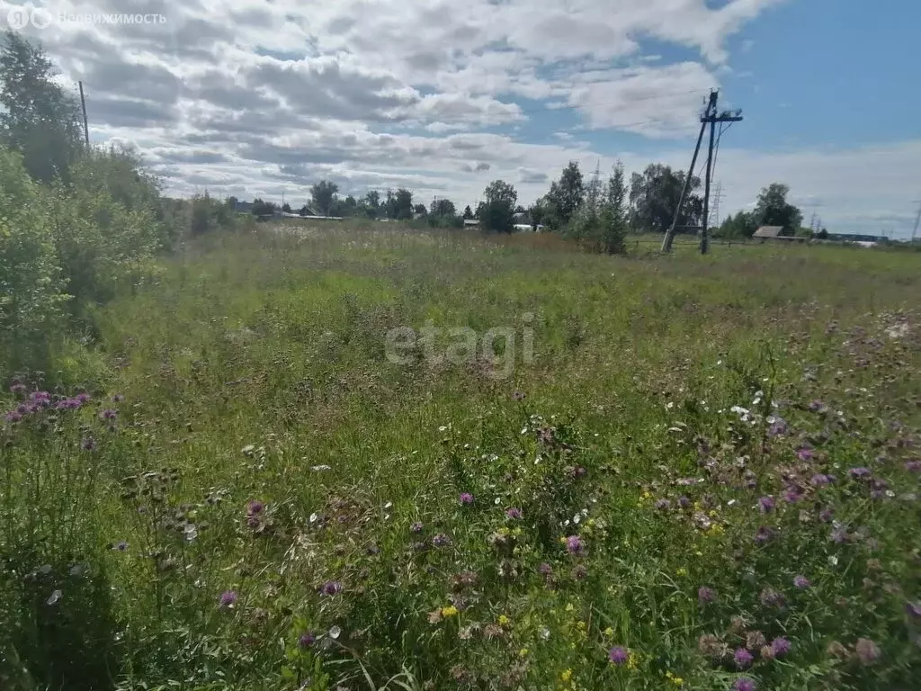 Участок в Тарутинский сельсовет, село Покровка (3831.6 м) - Фото 0
