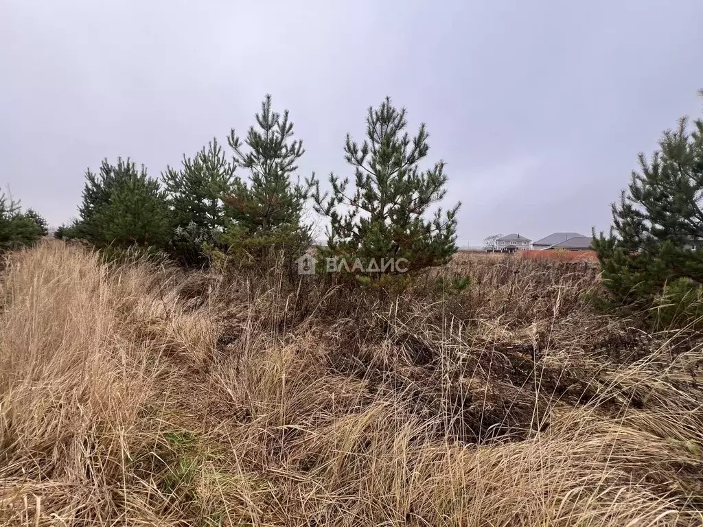 Участок в Владимирская область, Судогодский район, пос. Муромцево ул. ... - Фото 2