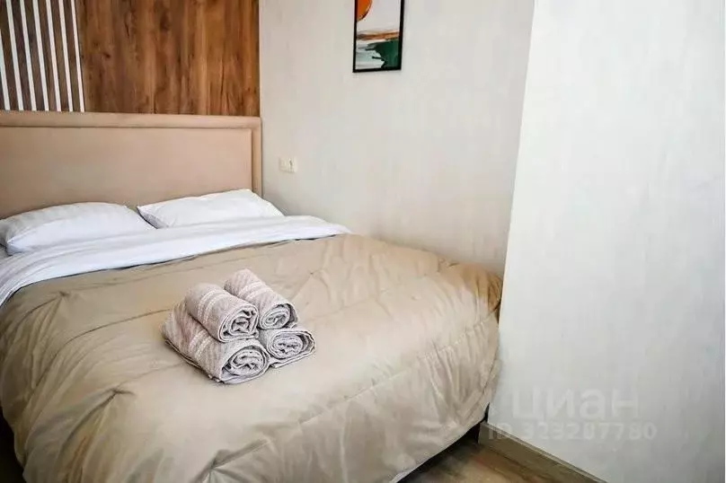 1-к кв. Москва 1-й Красногвардейский проезд, 21с2 (17.0 м) - Фото 2