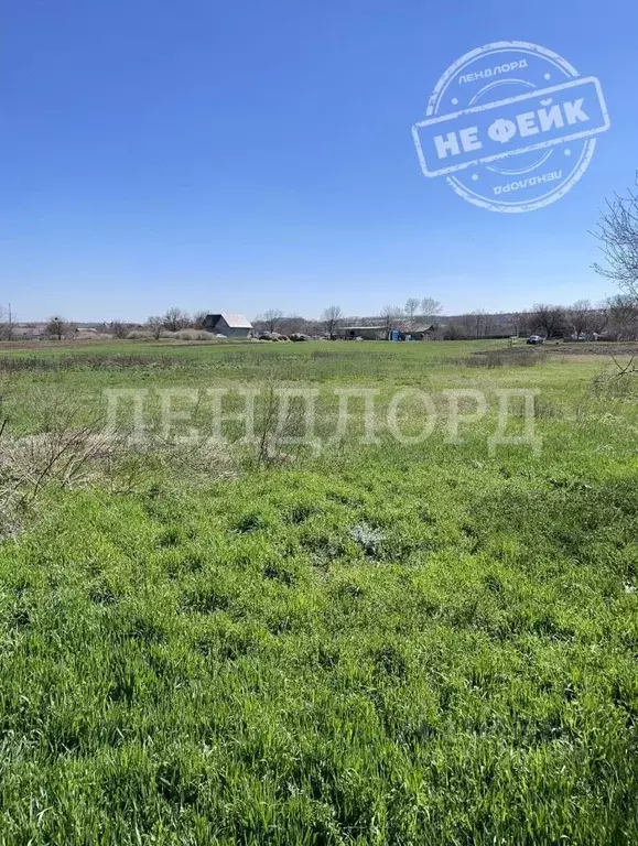 Участок в Ростовская область, Родионово-Несветайский район, ... - Фото 1