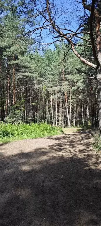 Дача 30 м на участке 5,6 сот. - Фото 1