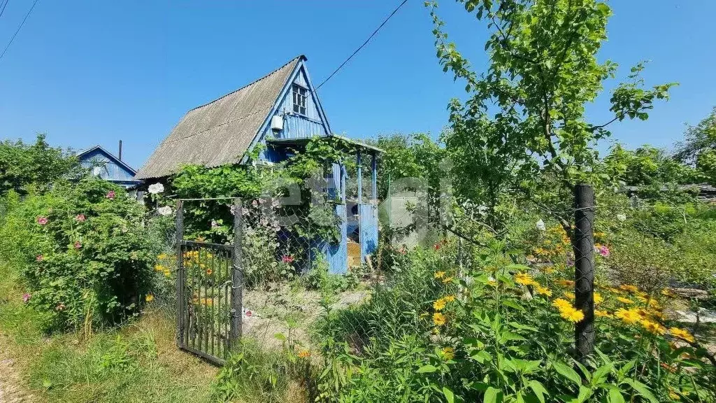 Дом в Брянская область, Брянский район, Чернетовское с/пос, Монтажник ... - Фото 1