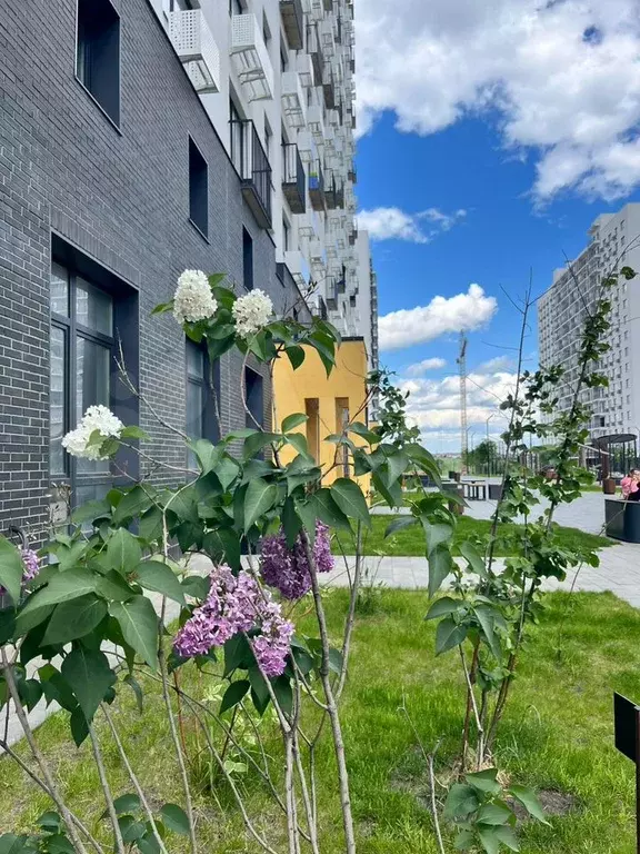 Квартира-студия, 32,2 м, 7/17 эт. - Фото 0