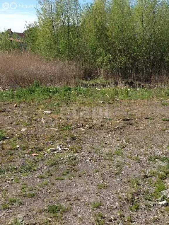 Участок в Калининградская область, Гурьевский муниципальный округ, СТ ... - Фото 2