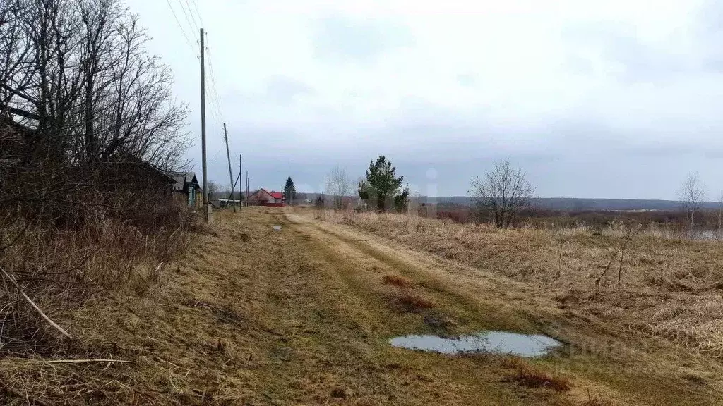Участок в Свердловская область, Слободо-Туринский район, ... - Фото 1