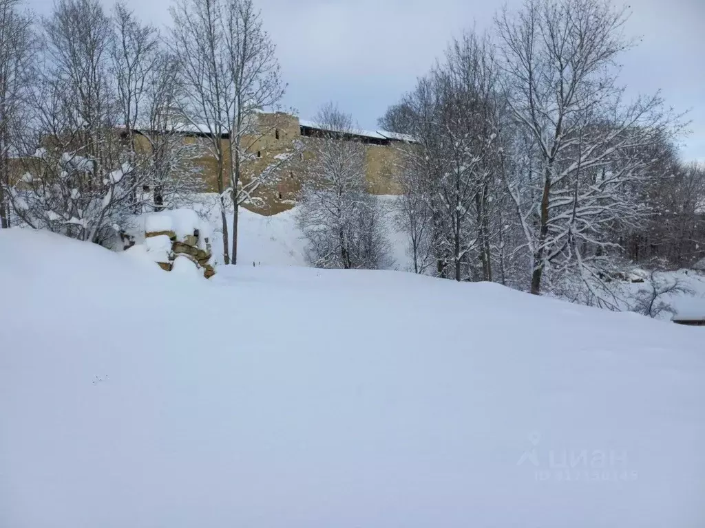 Участок в Псковская область, Печорский муниципальный округ, д. Изборск ... - Фото 1
