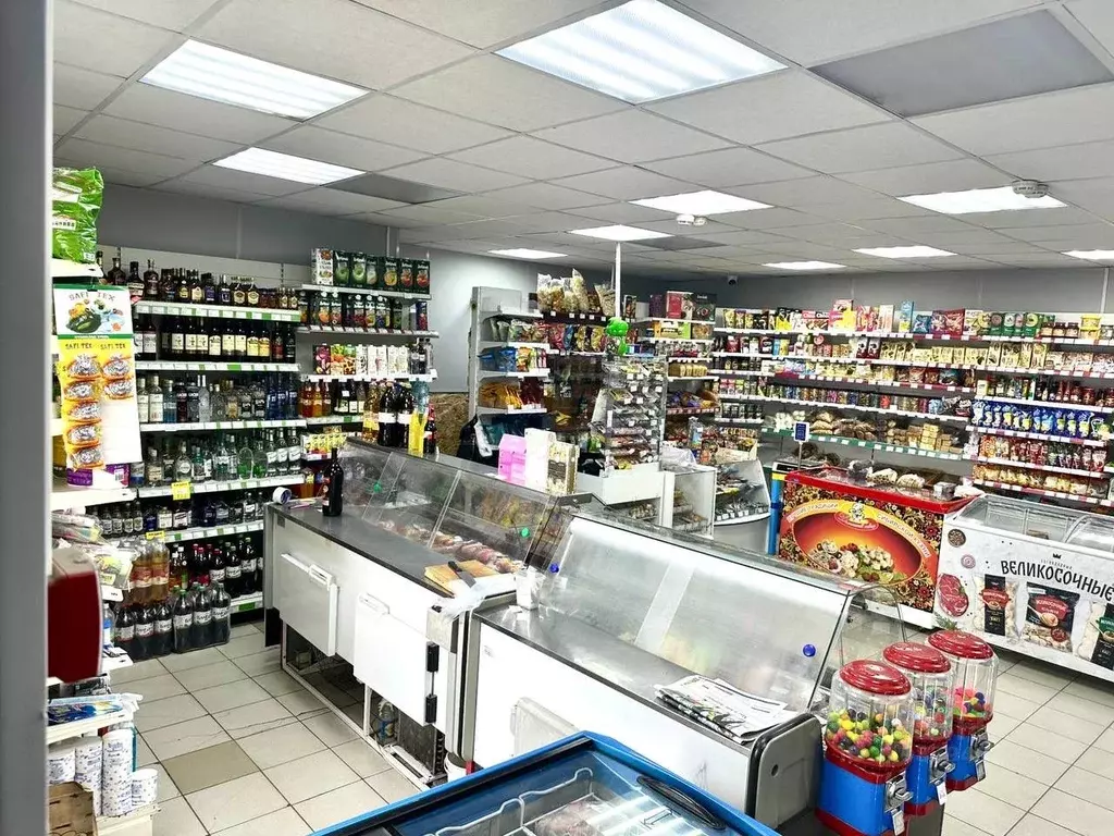 Торговая площадь в Новосибирская область, с. Новолуговое ул. Андреева, ... - Фото 2