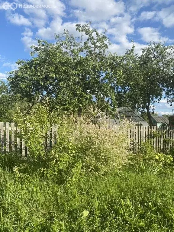 Участок в Медведевский район, Сидоровское сельское поселение, посёлок ... - Фото 2