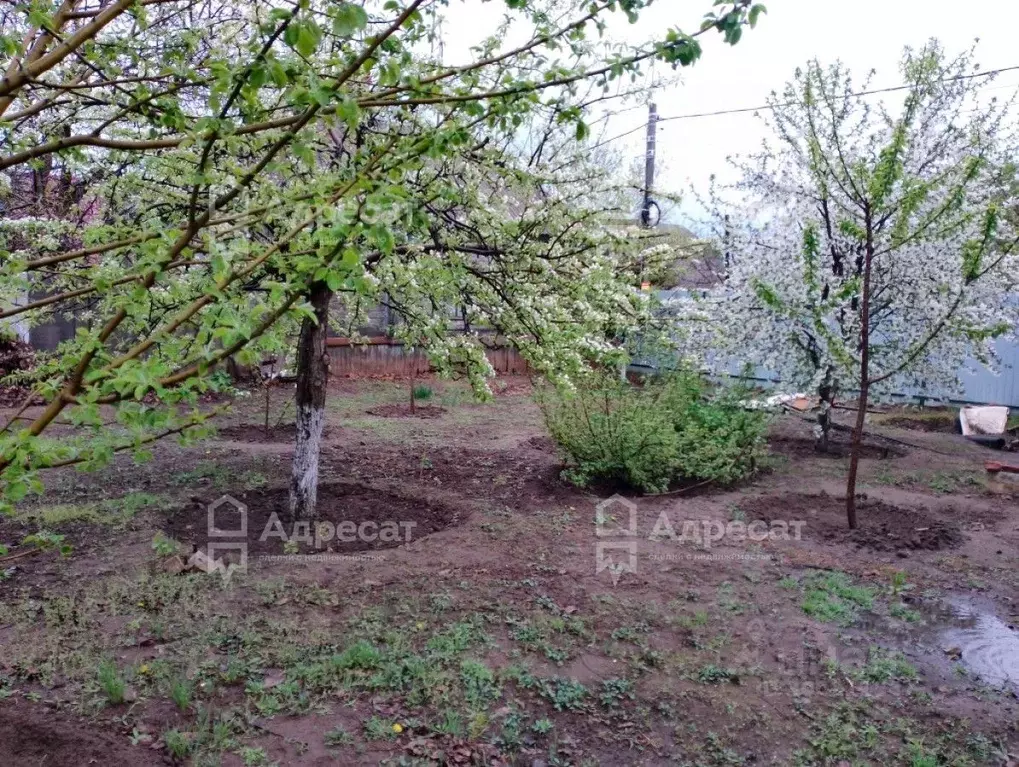 Дом в Волгоградская область, Волгоград Физкультурная ул. (95 м) - Фото 1