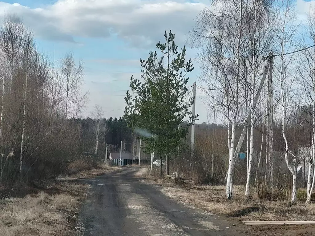 Участок в Московская область, Ступино городской округ, Агрохолод СНТ  ... - Фото 0