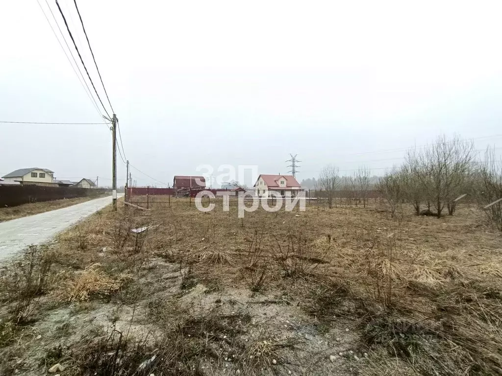 Участок в Ленинградская область, Ломоносовский район, Гостилицкое ... - Фото 0