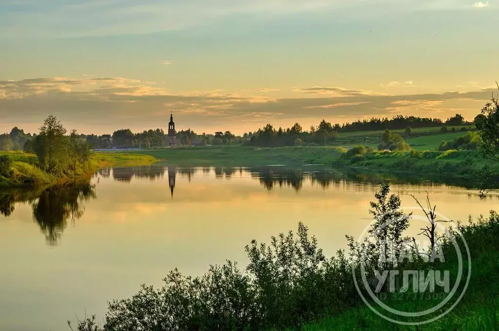 Участок в Ярославская область, Угличский муниципальный округ, д. ... - Фото 1