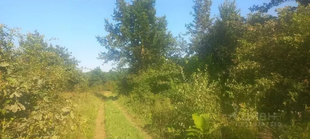 Участок в Краснодарский край, Северский район, Григорьевское с/пос, ... - Фото 2