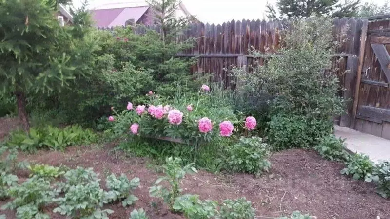 Дом в Иркутская область, Иркутский муниципальный округ, Байкальский ... - Фото 2