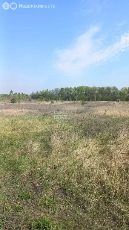 Участок в село Сенцово, Мирная улица, 19 (15 м) - Фото 0