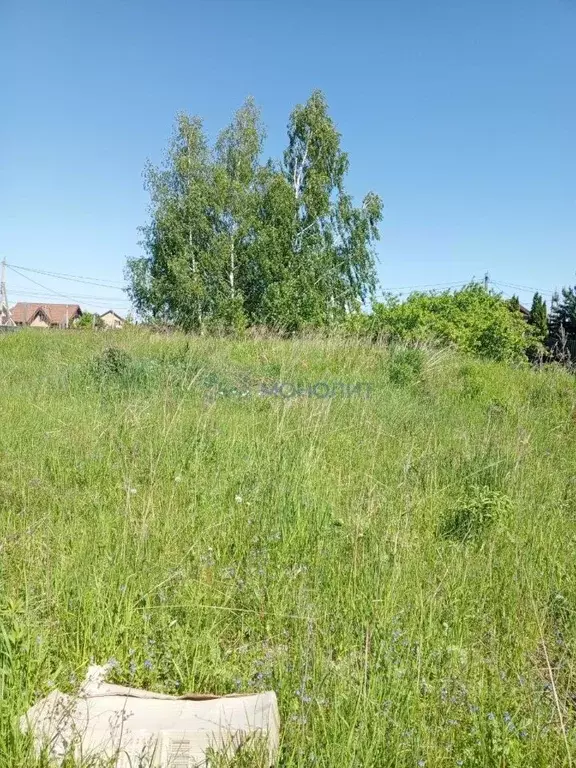 Участок в Нижегородская область, Балахнинский муниципальный округ, ... - Фото 0