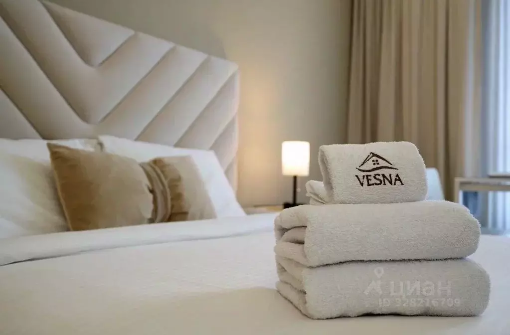 Студия Самарская область, Тольятти ул. 40 лет Победы, 43Д (28.0 м) - Фото 1