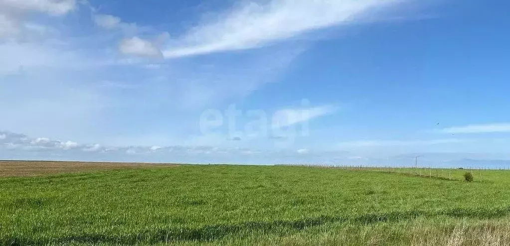 Участок в Крым, Ленинский район, с. Батальное ул. Степная (784.84 ... - Фото 1