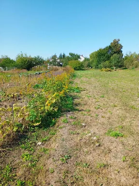 Участок в Орловская область, Орловский муниципальный округ, с. ... - Фото 2