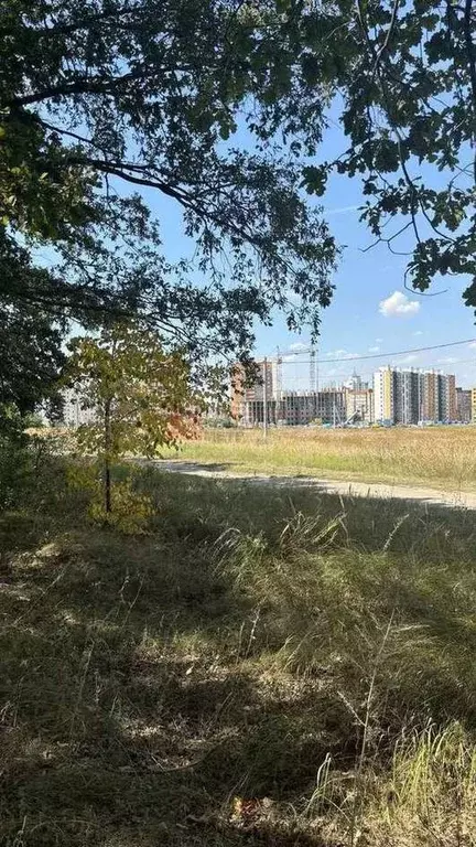 Участок 10 сот. (СНТ, ДНП) - Фото 1