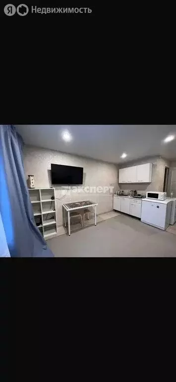 Квартира-студия: Казань, улица Аделя Кутуя, 8 (19.8 м) - Фото 2