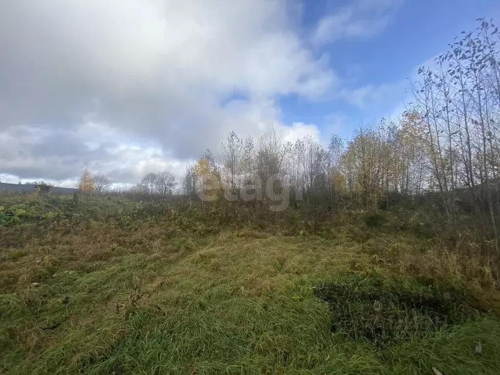 Участок в Вологодская область, пос. Грибково ул. Тимофеевская (10.0 ... - Фото 2