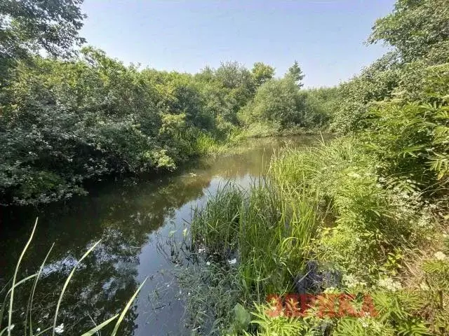 Участок в Краснодарский край, Крымск  (156.0 сот.) - Фото 2