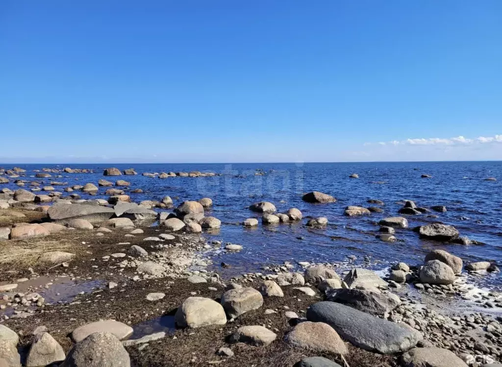 Участок в Санкт-Петербург пос. Молодежное,  (18.33 сот.) - Фото 1
