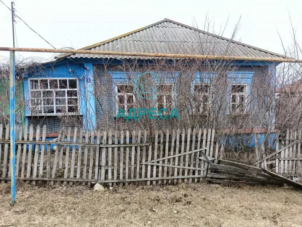 Дом в Белгородская область, Чернянский район, Ольшанское с/пос, с. ... - Фото 1