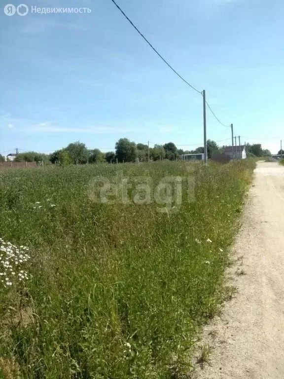 Участок в Ярославский муниципальный округ, деревня Кузнечиха ... - Фото 1