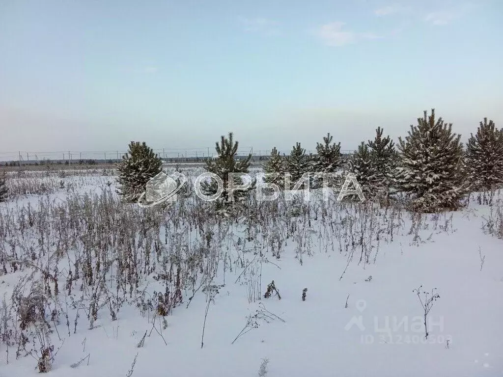 Участок в Тюменская область, Тюмень Велижанский тракт, 5-й км (100.0 ... - Фото 1