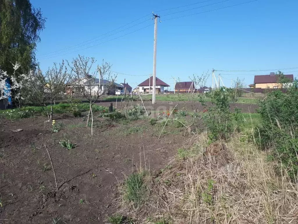 Участок в Белгородская область, Белгородский район, Комсомольское ... - Фото 0