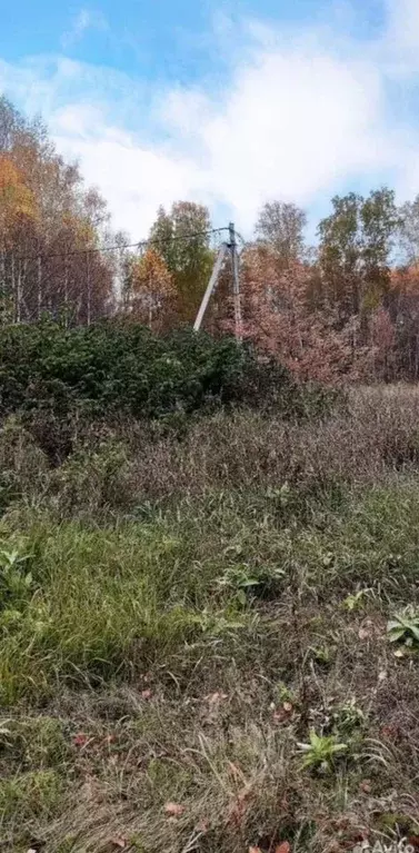 Участок в Челябинская область, Красноармейский муниципальный округ, с. ... - Фото 2