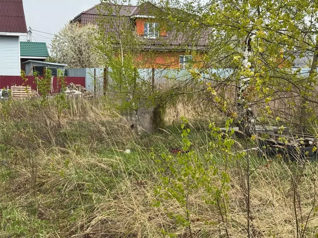 Участок в Московская область, Богородский городской округ, д. Белая ... - Фото 0