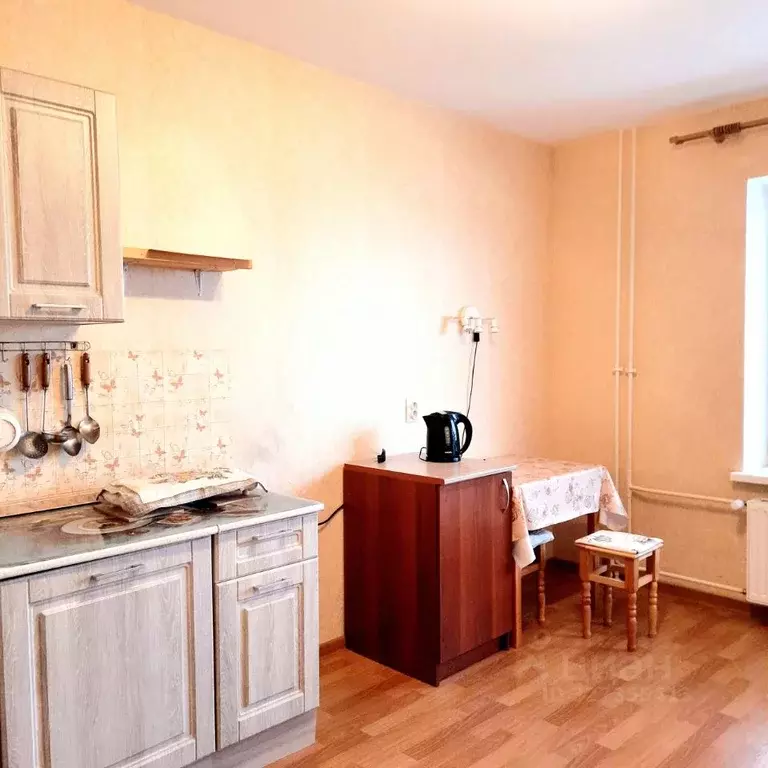 Студия Санкт-Петербург просп. Юнтоловский, 45к1 (24.0 м) - Фото 1